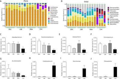 Interactions Between Commensal Microbiota and Mucosal Immunity in Teleost Fish During Viral Infection With SVCV